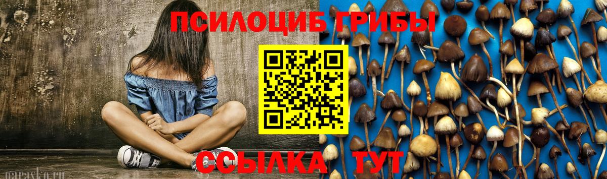 Псилоцибиновые грибы GOLDEN TEACHER Дюртюли