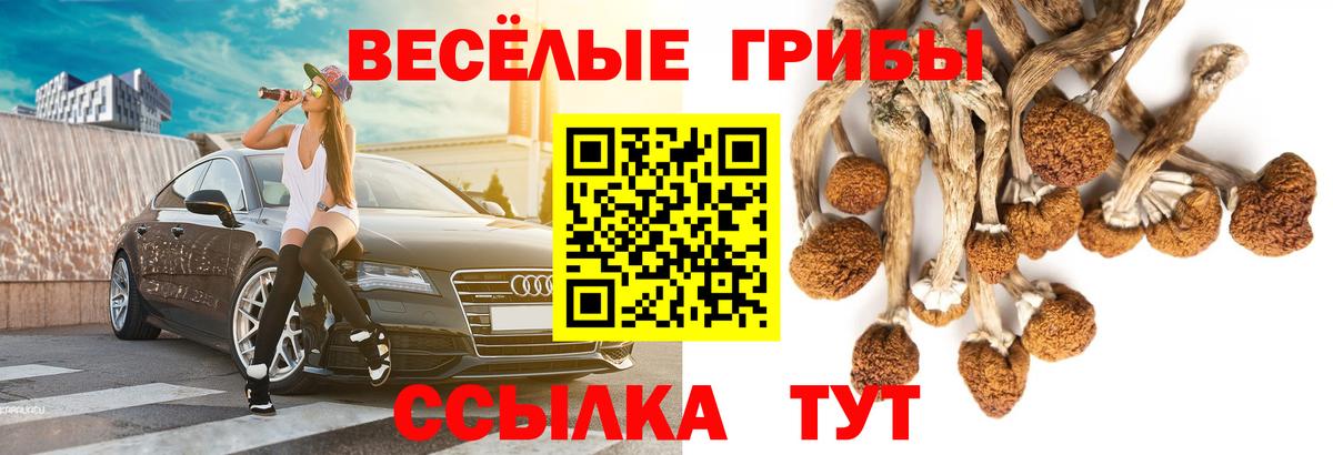 Дюртюли  Галлюциногенные грибы мицелий  наркошоп  Вход с VPN 